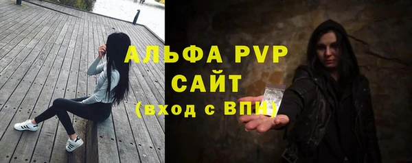 молекула духа Козельск