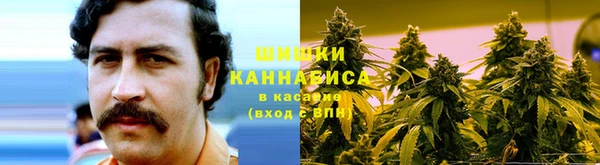 молекула духа Козельск
