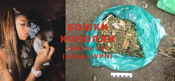 молекула духа Козельск