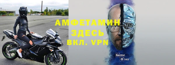 молекула духа Козельск