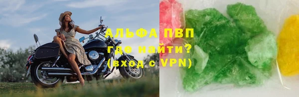 молекула духа Козельск