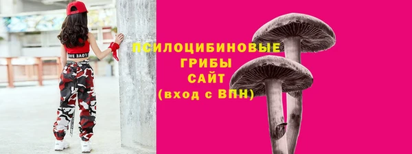 молекула духа Козельск