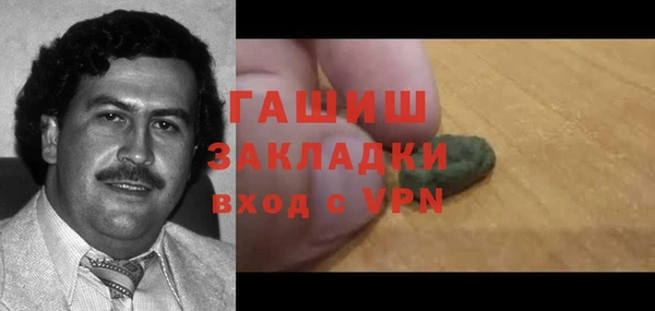 молекула духа Козельск