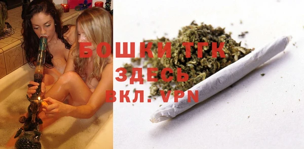 молекула духа Козельск