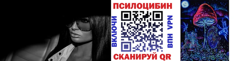 Псилоцибиновые грибы Psilocybe Ялта